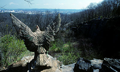 Eagle at Eagle's Nest